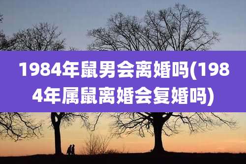 1984年鼠男会离婚吗(1984年属鼠离婚会复婚吗)