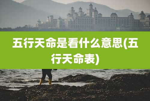 五行天命是看什么意思(五行天命表)