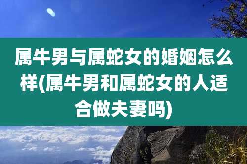 属牛男与属蛇女的婚姻怎么样(属牛男和属蛇女的人适合做夫妻吗)