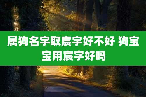 属狗名字取宸字好不好 狗宝宝用宸字好吗