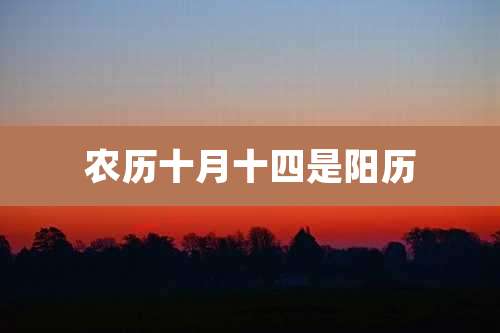 农历十月十四是阳历