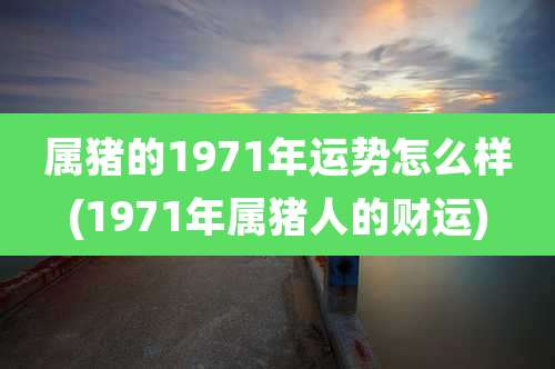 属猪的1971年运势怎么样(1971年属猪人的财运)