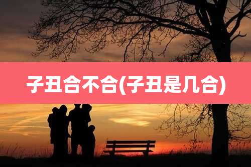 子丑合不合(子丑是几合)