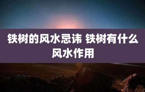 铁树的风水忌讳 铁树有什么风水作用