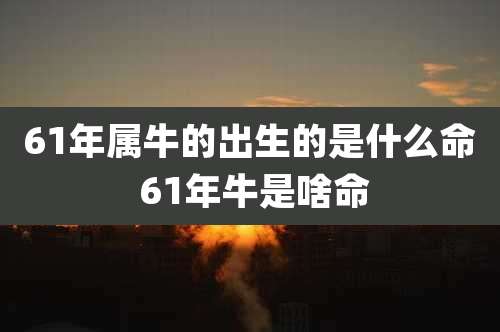 61年属牛的出生的是什么命 61年牛是啥命