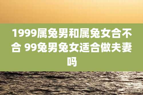 1999属兔男和属兔女合不合 99兔男兔女适合做夫妻吗