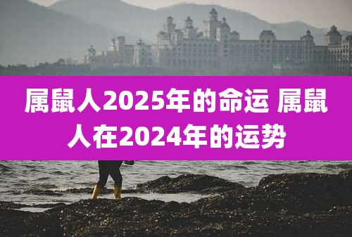 属鼠人2025年的命运 属鼠人在2024年的运势
