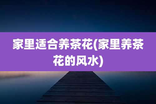 家里适合养茶花(家里养茶花的风水)