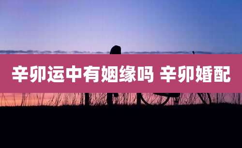 辛卯运中有姻缘吗 辛卯婚配