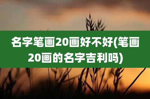 名字笔画20画好不好(笔画20画的名字吉利吗)