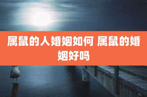 属鼠的人婚姻如何 属鼠的婚姻好吗