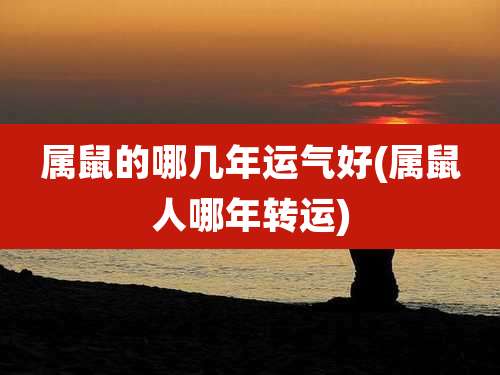 属鼠的哪几年运气好(属鼠人哪年转运)