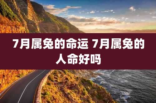 7月属兔的命运 7月属兔的人命好吗