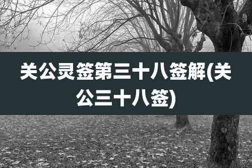 关公灵签第三十八签解(关公三十八签)