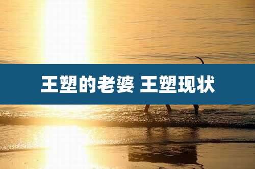王塑的老婆 王塑现状