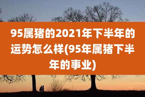95属猪的2021年下半年的运势怎么样(95年属猪下半年的事业)