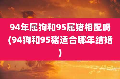 94年属狗和95属猪相配吗(94狗和95猪适合哪年结婚)