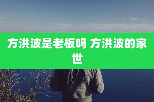 方洪波是老板吗 方洪波的家世