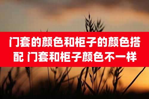 门套的颜色和柜子的颜色搭配 门套和柜子颜色不一样