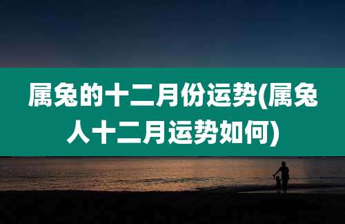 属兔的十二月份运势(属兔人十二月运势如何)