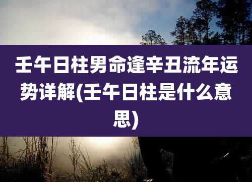 壬午日柱男命逢辛丑流年运势详解(壬午日柱是什么意思)