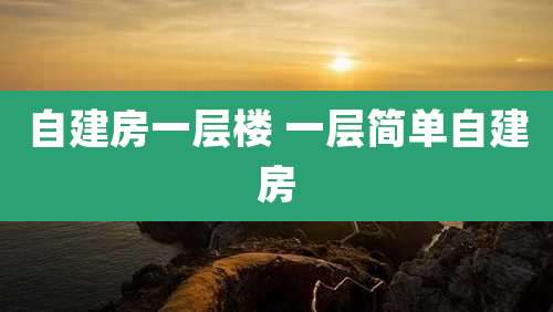自建房一层楼 一层简单自建房