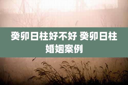 癸卯日柱好不好 癸卯日柱婚姻案例