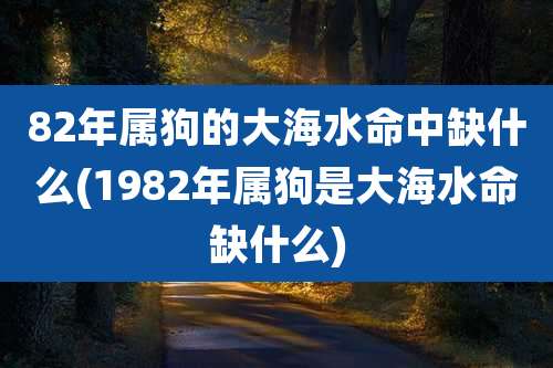 82年属狗的大海水命中缺什么(1982年属狗是大海水命缺什么)