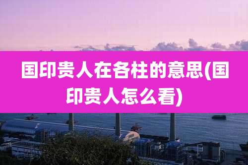 国印贵人在各柱的意思(国印贵人怎么看)