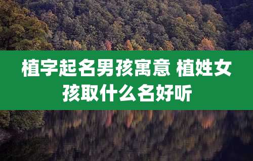 植字起名男孩寓意 植姓女孩取什么名好听