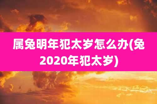 属兔明年犯太岁怎么办(兔2020年犯太岁)