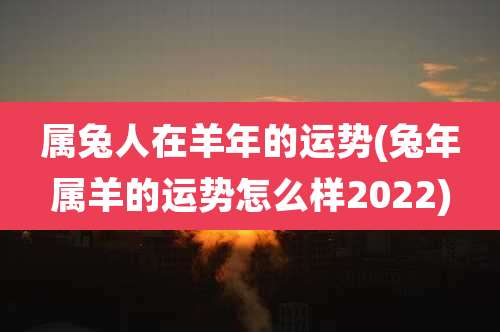 属兔人在羊年的运势(兔年属羊的运势怎么样2022)