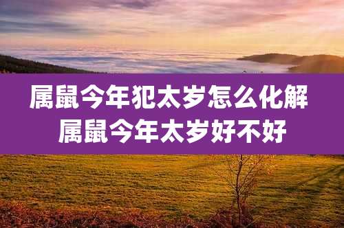 属鼠今年犯太岁怎么化解 属鼠今年太岁好不好