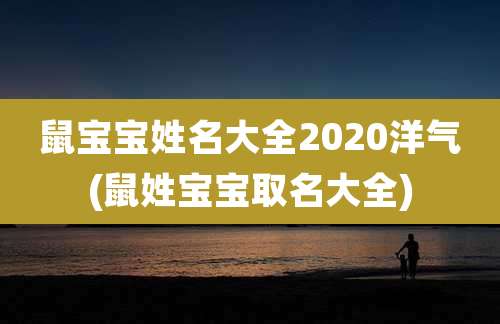鼠宝宝姓名大全2020洋气(鼠姓宝宝取名大全)