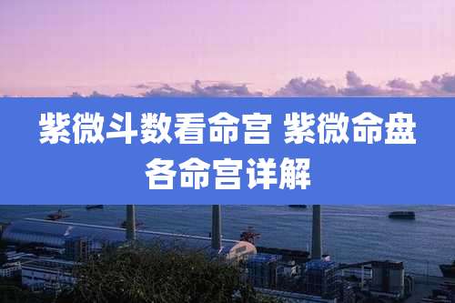 紫微斗数看命宫 紫微命盘各命宫详解