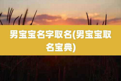 男宝宝名字取名(男宝宝取名宝典)
