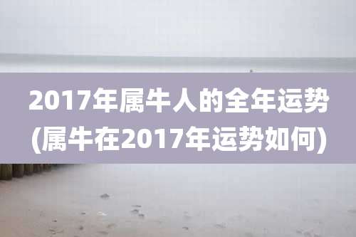 2017年属牛人的全年运势(属牛在2017年运势如何)