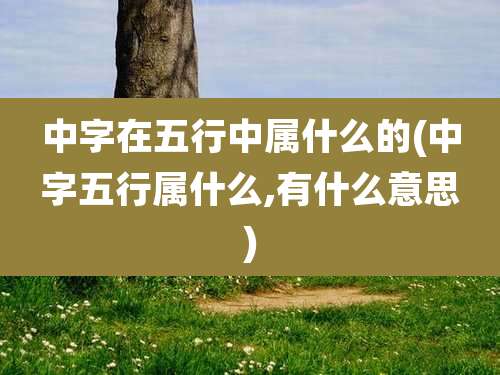 中字在五行中属什么的(中字五行属什么,有什么意思)