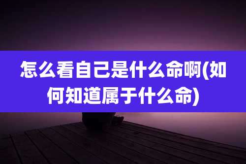 怎么看自己是什么命啊(如何知道属于什么命)