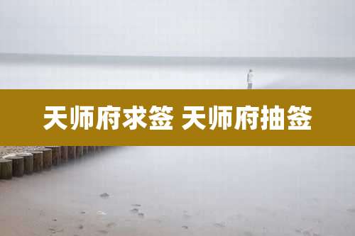 天师府求签 天师府抽签