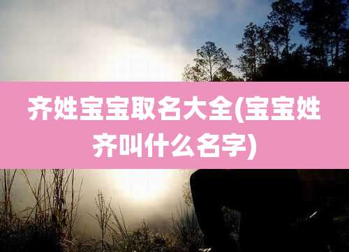 齐姓宝宝取名大全(宝宝姓齐叫什么名字)
