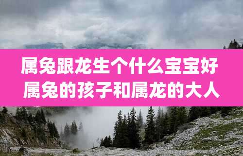 属兔跟龙生个什么宝宝好 属兔的孩子和属龙的大人