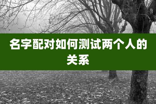名字配对如何测试两个人的关系