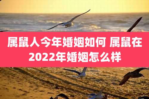 属鼠人今年婚姻如何 属鼠在2022年婚姻怎么样