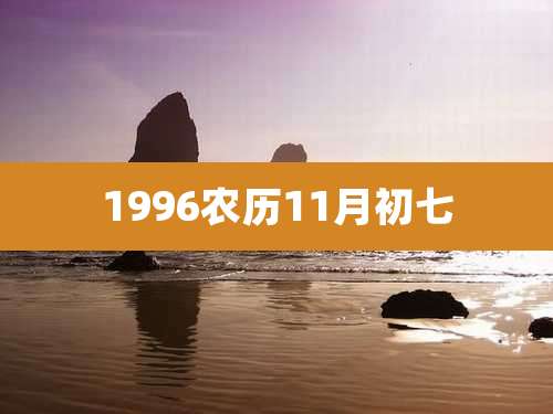 1996农历11月初七