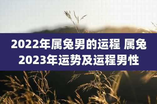 2022年属兔男的运程 属兔2023年运势及运程男性