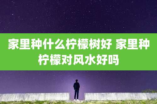 家里种什么柠檬树好 家里种柠檬对风水好吗