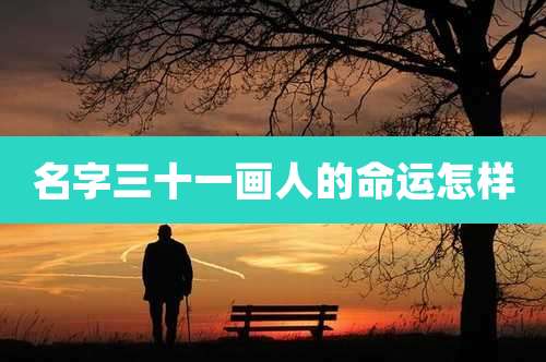 名字三十一画人的命运怎样