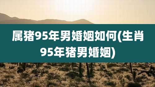 属猪95年男婚姻如何(生肖95年猪男婚姻)