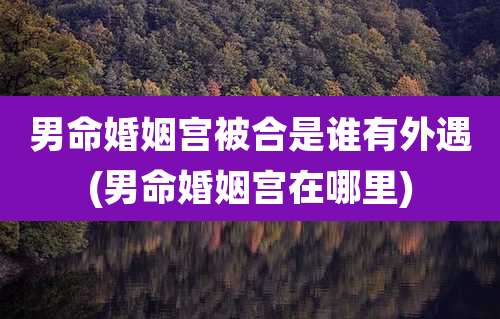 男命婚姻宫被合是谁有外遇(男命婚姻宫在哪里)